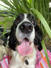 Load image into Gallery viewer, CUSTOM PET EMBROIDERY - SWEATSHIRT