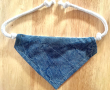 Load image into Gallery viewer, PET BANDANA - BALLGAME
