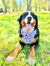 Load image into Gallery viewer, PET BANDANA - BALLGAME
