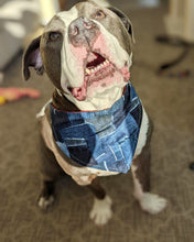 Load image into Gallery viewer, PET BANDANA - PATCHWORK
