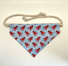 Load image into Gallery viewer, PET BANDANA - WEEK TWO
