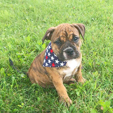 Load image into Gallery viewer, PET BANDANA - FIREWORKS
