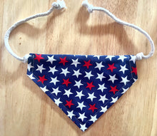 Load image into Gallery viewer, PET BANDANA - FIREWORKS
