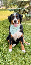 Load image into Gallery viewer, PET BANDANA - WEEK ONE
