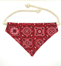 Load image into Gallery viewer, PET BANDANA - OG BANDANA
