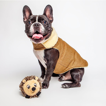 Load image into Gallery viewer, DOG TOY - HEDGEHOG

