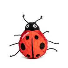 Load image into Gallery viewer, DOG TOY - LADYBUG
