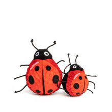 Load image into Gallery viewer, DOG TOY - LADYBUG
