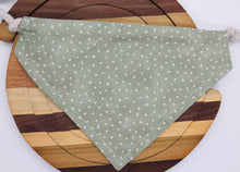 Load image into Gallery viewer, LANTERNS - PET BANDANA
