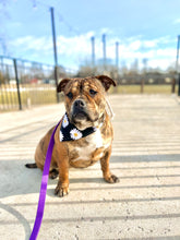 Load image into Gallery viewer, PET BANDANA - DAISY

