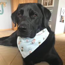 Load image into Gallery viewer, LANTERNS - PET BANDANA
