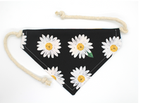 Load image into Gallery viewer, PET BANDANA - DAISY
