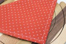 Load image into Gallery viewer, PET BANDANA - FRIDAY
