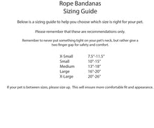 Load image into Gallery viewer, PET BANDANA - FUN GUYS
